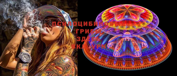 шишки Вяземский