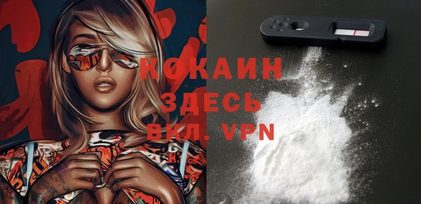 шишки Вяземский