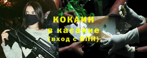 шишки Вяземский