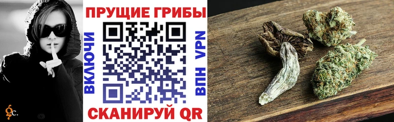 Галлюциногенные грибы прущие грибы  Петропавловск-Камчатский 